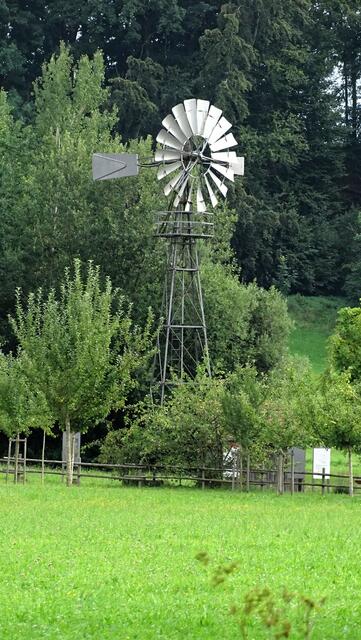 Ein Windmotor aus Waltershofen. 1907 erbaut um das Grundwasser in höhere Lagen zu transportieren, war bis in die 60iger Jahre im Einatz.

 | Foto: Luis Walter