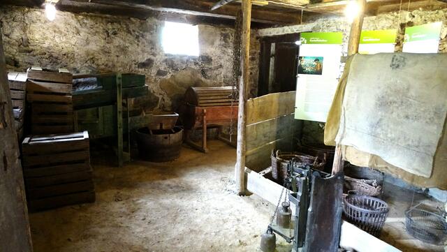 der Kartoffelkeller | Foto: Luis Walter