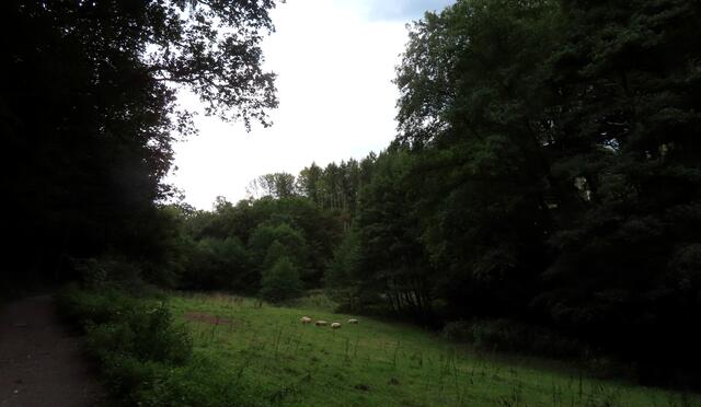 ..ehrlich gesagt habe ich ab diesem Moment Schiss bekommen