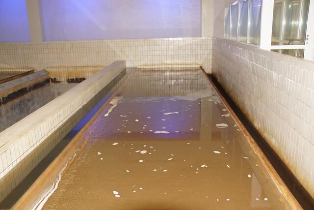 eines der 48 Filterbecken im Wasserwerk