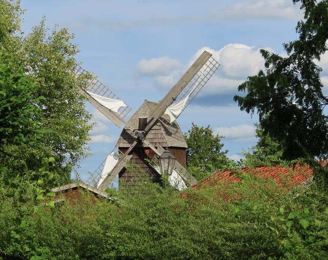 Mit diesem Bild endet der Besuch im "Europäischen Brotmuseum". 

Meine Mutti und ich finden, dass der Besuch der "Wilhelm-Busch-Mühle" und der Besuch des "Europäischen Brotmuseums" ein würdiger Ersatz für die (wetterbedingt) ausgefallene "Brocken-Tour" war. | Foto: M. A.