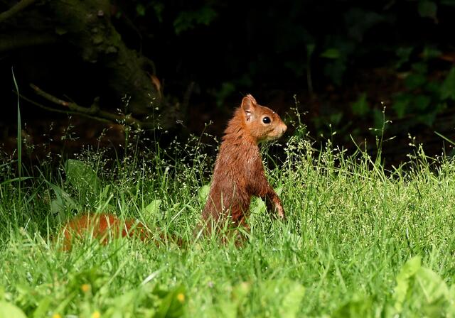 Foto: Copyright Andreas Schäfer