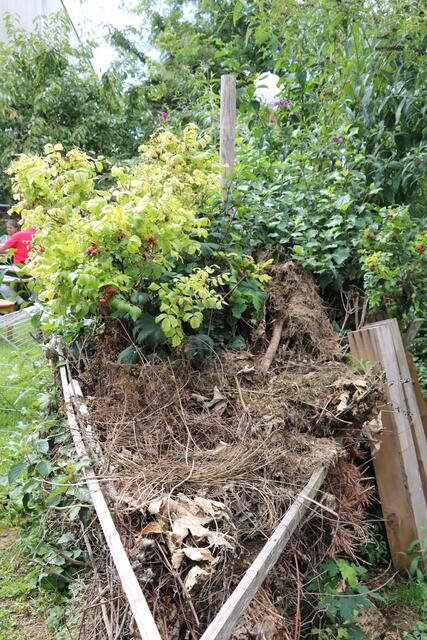 Solche Haufen dienen Tieren im Mozartgarten als Unterschlupf. Neben Erd- und Graskröten bewohnen auch zahlreiche Amphibien wie Eidechsen, zahlreiche Wildbienen und sogar Fledermäuse den Mozartgarten. Die vom Aussterben bedrohten Grasfrösche und Erdkröten helfen im Garten das natürliche Gleichgewicht zu wahren und schützen beispielsweise Kräuter- und Salatbeete vor Schnecken und anderen Schützlingen. Im Gegensatz zu Fröschen sind die Kröten angenehm leise.