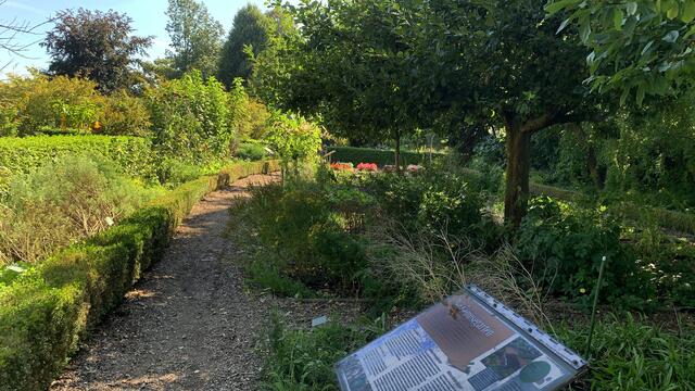 Im Gemüsegarten des Schulgartens. Foto: Helmut Kuzina