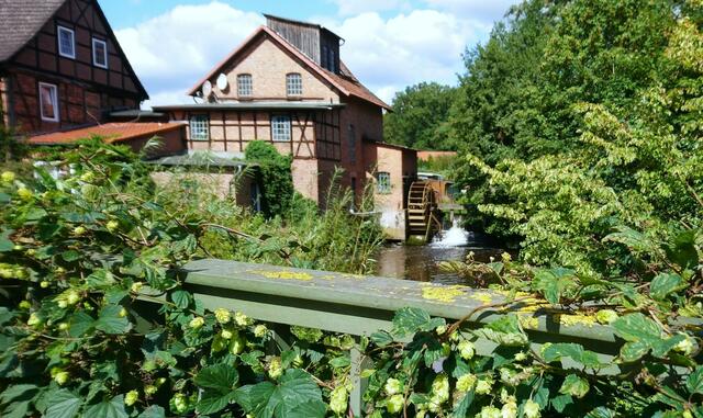 In Beedenbostel befindet sich die Wassermühle direkt an der Straße. | Foto: Shima Mahi