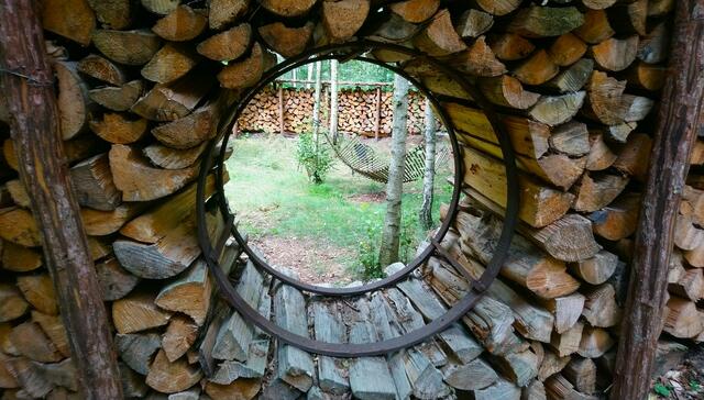 Der besondere Durchblick am Wegesrand | Foto: Shima Mahi