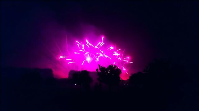 Auch schön | Foto: Shima Mahi