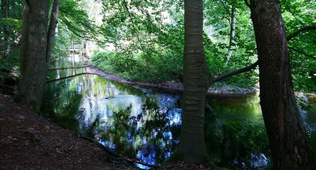 Die mäandrierende Lutter | Foto: Shima Mahi