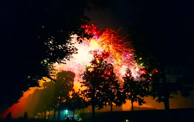 Die Bäume bilden eine scherenschnittartige Kulisse. | Foto: Shima Mahi