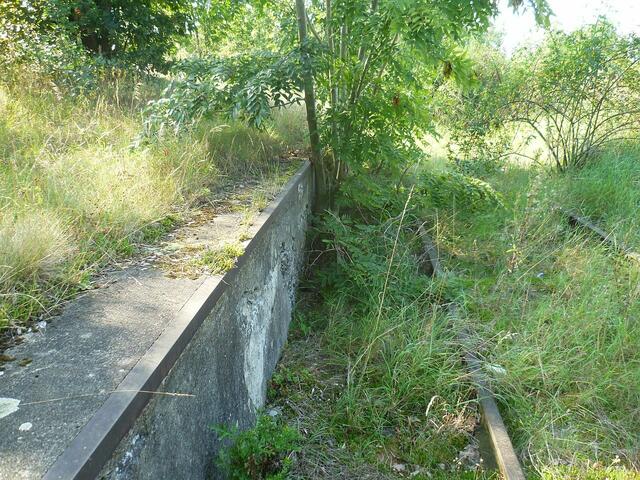 Der Bahnsteig ist heute zum größten Teil vom Hang bedeckt.
