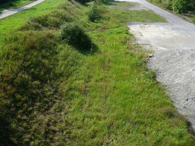 Geländeabschnitt nach dem Ende der Bahnsteigkante.
