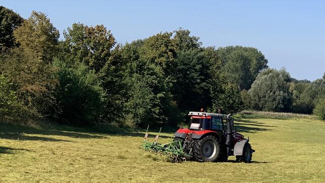 Nach der dritten Mahd des Jahres muss das Heu auf der Wiese noch einmal gewendet werden. Foto: Helmut Kuzina