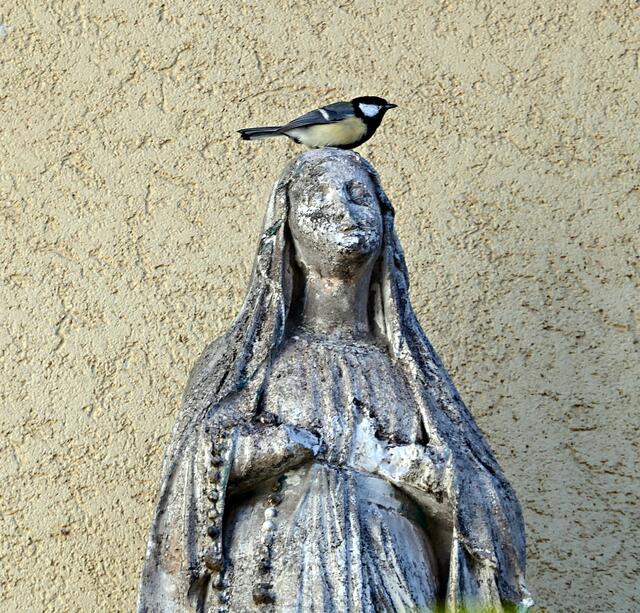 Eine vorwitzige Meise hat sich auf dem Haupt einer Hausmadonna niedergelassen