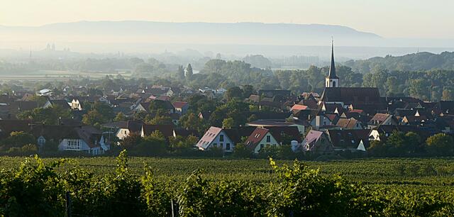 Unser Domizil für 5 weinselige Tage: das Städtchen Sommerach auf der Insel in der Mainschleife