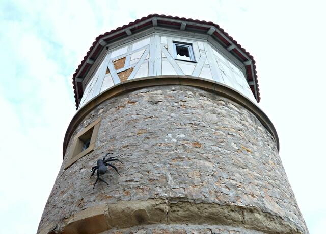 An diesem Turm im malerischen Dettelbach klettert die Spinne Tag für Tag vergebens hoch