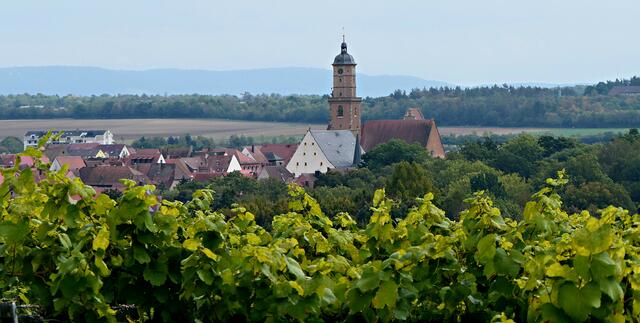 Die Stadt Volkach unterhalb des Hügels ist eines der Zentren des fränkischen Weinbaus. Die sehenswerte Altstadt ist leider zu den "Stoßzeiten" touristisch häufig überlaufen.