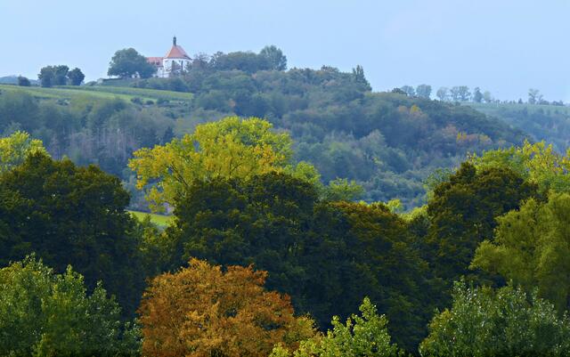 Blick von Maria im Weingarten hinüber zur Vogelsburg im Spätsommerlicht