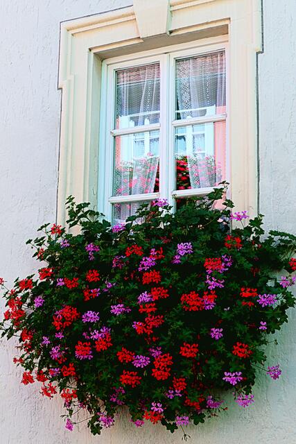 Blumenschmuck verschönert fast alle Gassen des Ortskerns