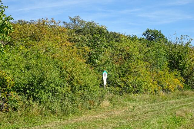 Naturschutzgebiet Müncheberg bei Bad Suderode