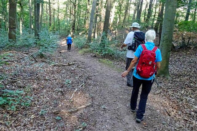 auf dem Weg nach Stecklenberg