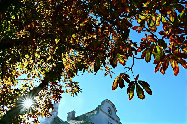 Und aus dieser Perspektive regiert bereits der Herbst
