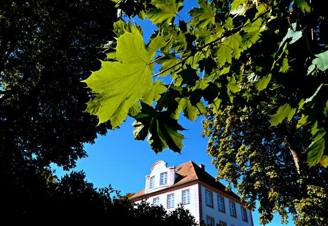 Auf der Nordseite geht das Grün allmählich in bunte Herbstfarben über