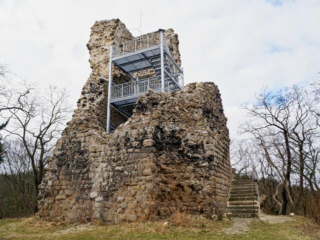 die Lauenburg