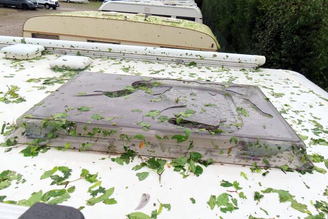 Foto: Günter Kirschen