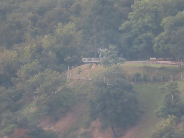 Von diesem Aussichtspunkt im "Wildtierpark" habe ich am 22.08.2023 die Fotos über den "Edersee" zum "Schloss Waldeck" gemacht. | Foto: M. A.