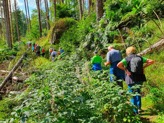 Der Wanderweg war steinig, zugewachsen und von umgefallenen Bäumen bedeckt.
