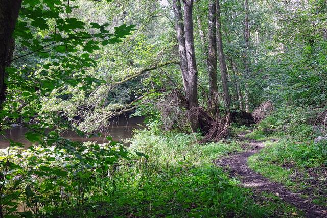 der Harzer Hexen Stieg führt stellenweise an der Bode entlang