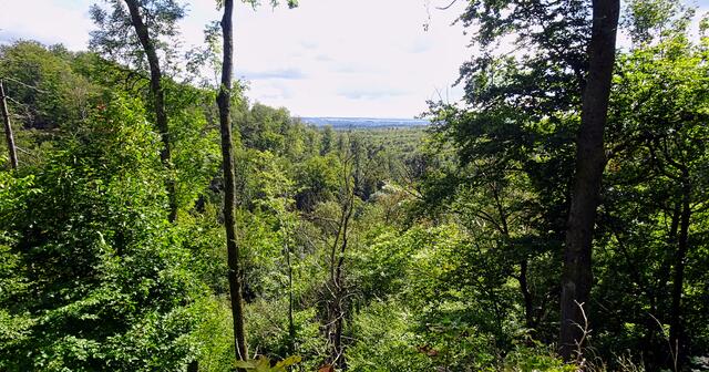 Blick von der Erichsburg ins Friedenstal und mit Harzgerode im Hintergrund