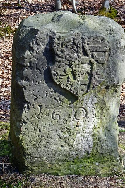 Grenzstein an der braunschweigisch - anhaltinischen Grenze westlich von Friedrichsbrunn mit Wappen von 1603 mit A für Anhalt 