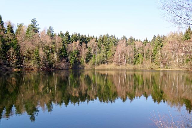 Bergrat Müller Teich 6.4.2019