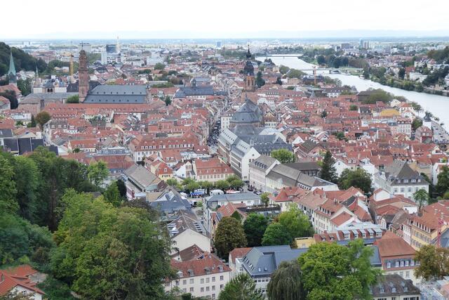 Blick vom Schloss nach Westen über die Altstadt in Richtung Rhein.