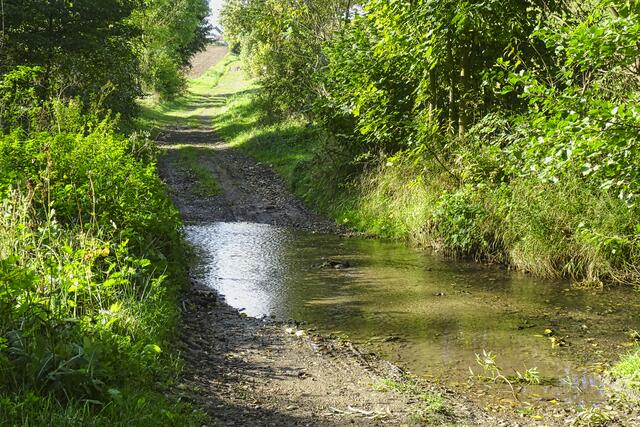 Furt am Weddebach 