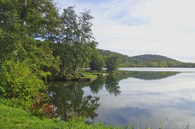 Vienenburger See