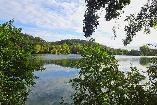 Vienenburger See