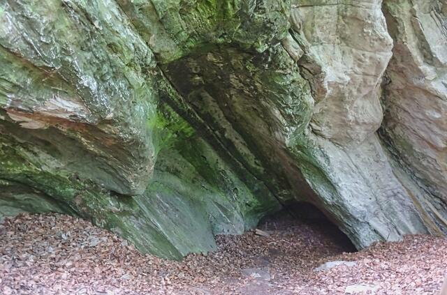 an der Kräuter August Höhle
