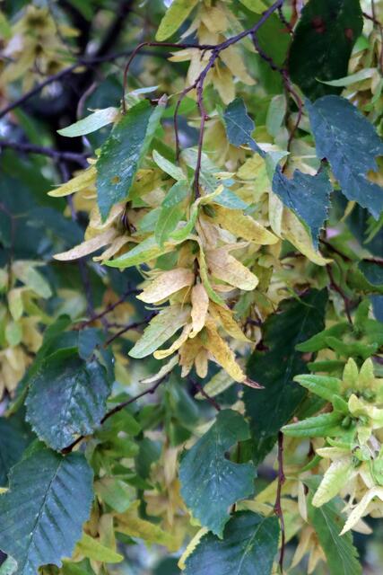 Foto: Yvonne Rollert