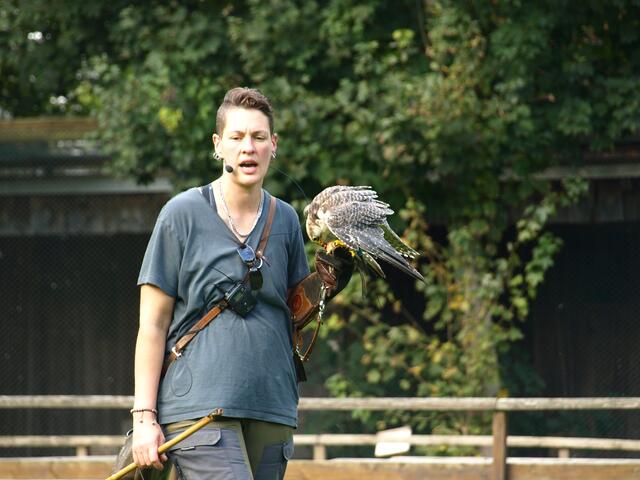 Falknerin mit Falke