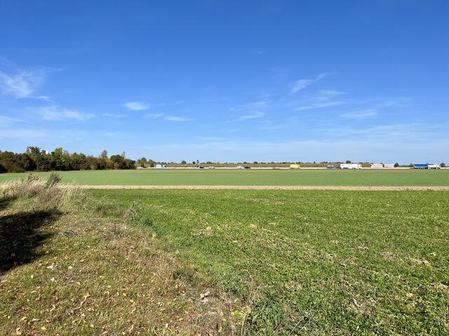 Fläche für geplantes Gewerbegebiet östlich der Autobahnanschlussstelle Neusäß, Blick nach Norden von der Nürnberger Straße, kurz vor der Einmündung in den Kreisverkehr, Oktober 2023