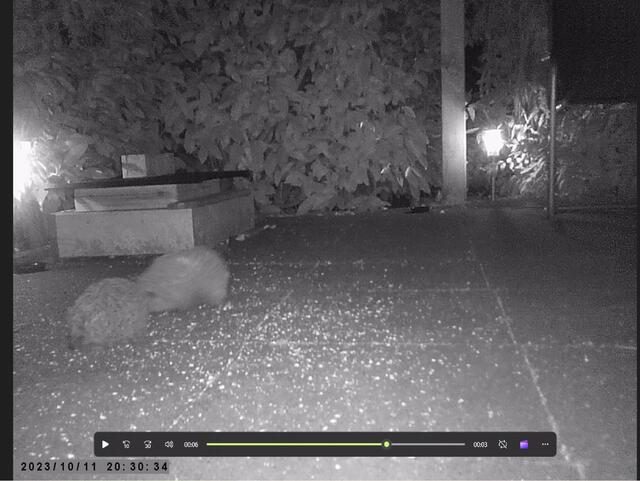 "............ist MEIN Futterplatz!
