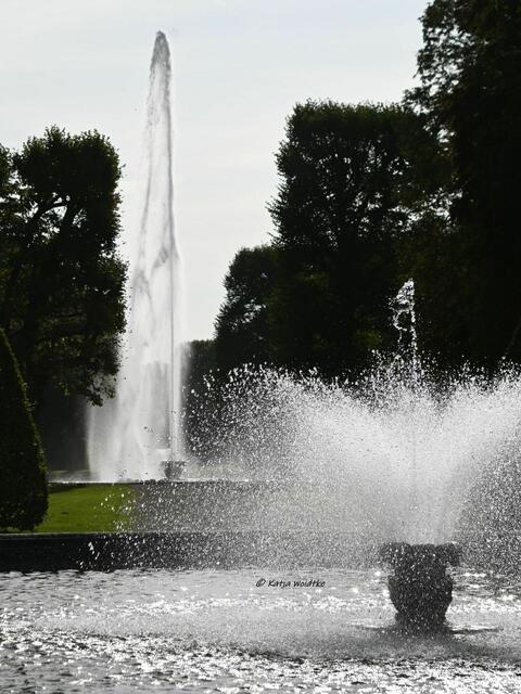 Wasserspiele und barocke Pracht im Großen Garten Herrenhausen

Die Große Fontäne im Hintergrund kann bis zu 80 Meter in die Höhe springen | Foto: Katja Woidtke