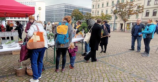 Foto: Yvonne Rollert