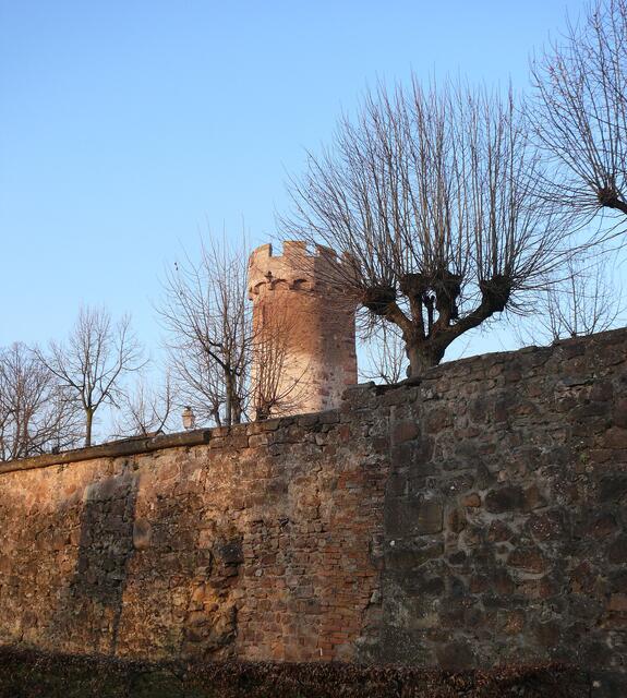 Stadtturm in Obernai