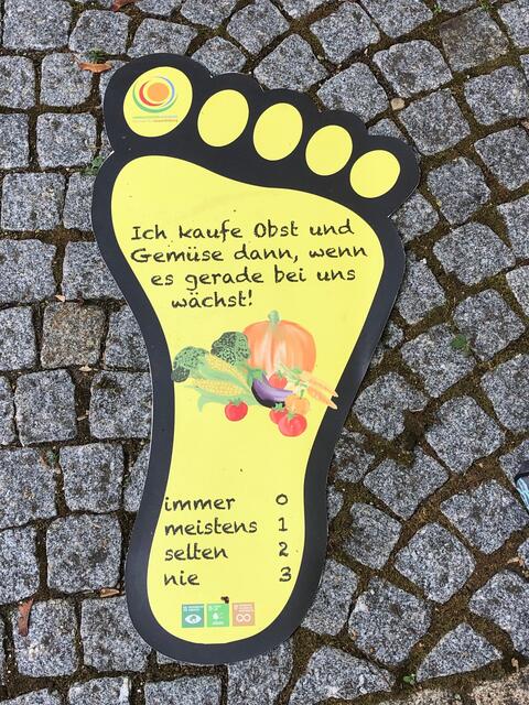 Foto: Ehrlich sollte auf verschiedene Fragen geantwortet werden - zur Erstellung des persönlichen CO2-Fußabdruckes.