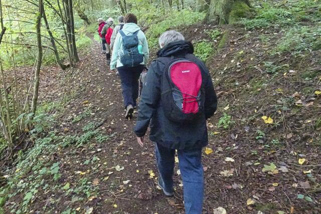 auf dem Holzdampflok Steig