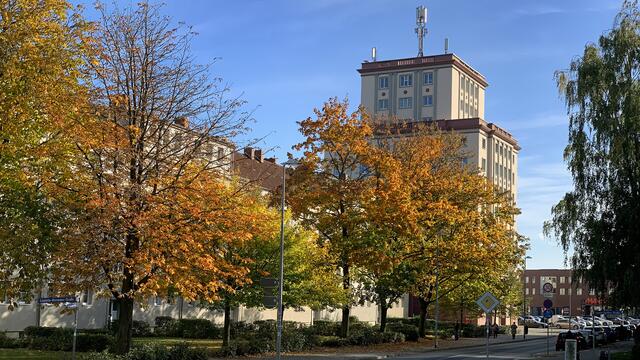 Goldgelb leuchten die Ahornbäume in der Straße mit dem 32 m hohen Hochhaus. Das Gebäude ist weithin sichtbar und mit den umliegenden Gebäuden aus den 1950er Jahren denkmalgeschützt. Foto: Helmut Kuzina