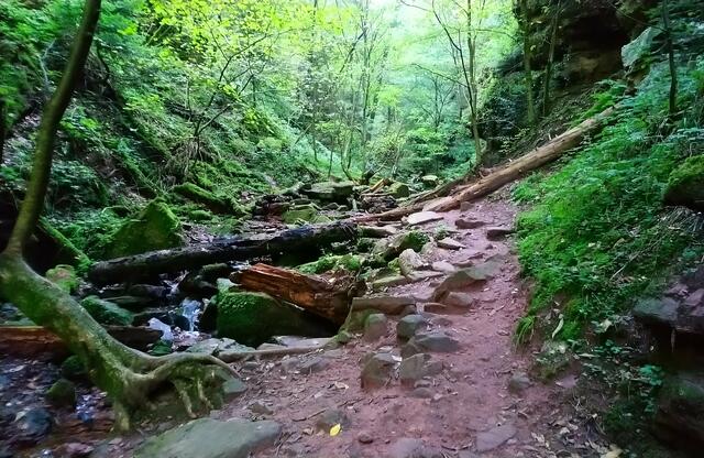 Neben dem Bach befindet sich der "Weg". | Foto: Shima Mahi